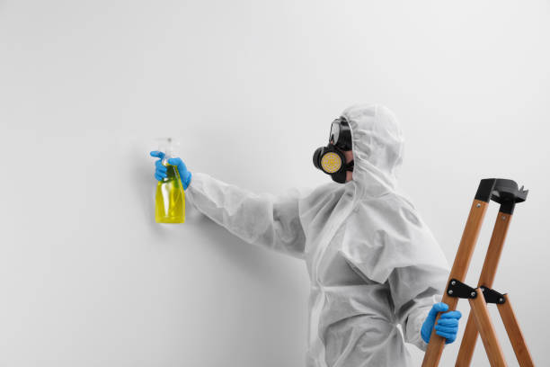 Mold Removal for HVAC Installations